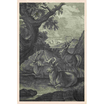 " Woodland Deer VI " by Ridinger Painting Print