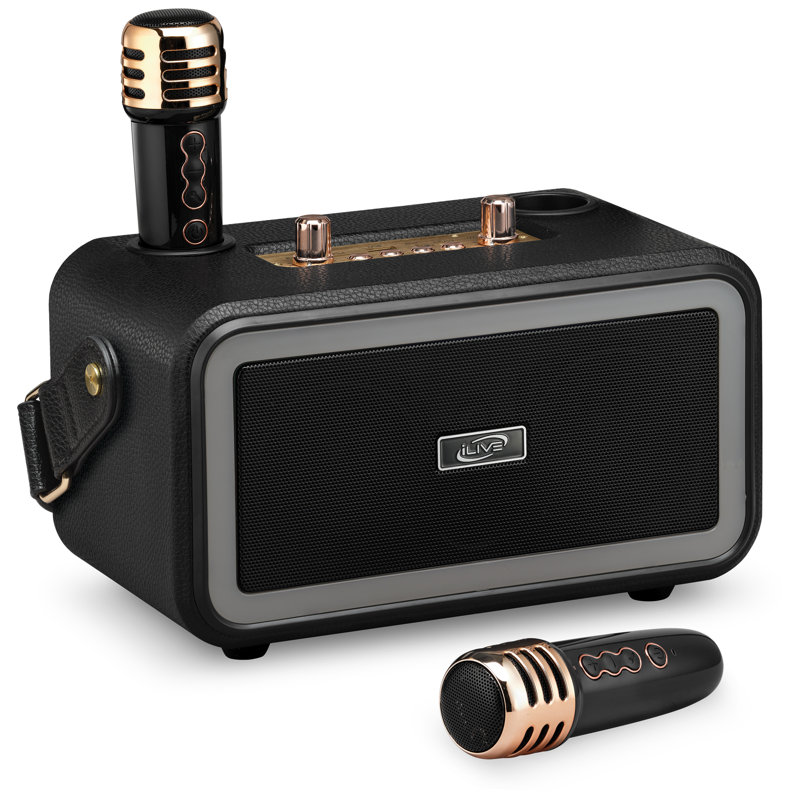 Karaoke+ Wireless Party Machine
