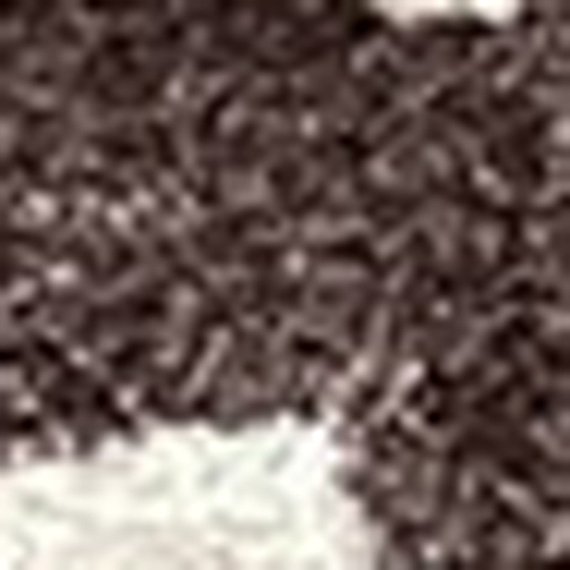 Tapis lavable à motif animal chocolat 2 pi x 4 pi avec protection UV