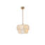 Lustre en albâtre satiné 16 pouces Charlotte-1763104149-1763104150-1763104151