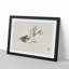 Herring Gull by Kono Baireir - Picture Frame Painting Print-55763061-55763060