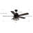 Ceiling Fan With Remote