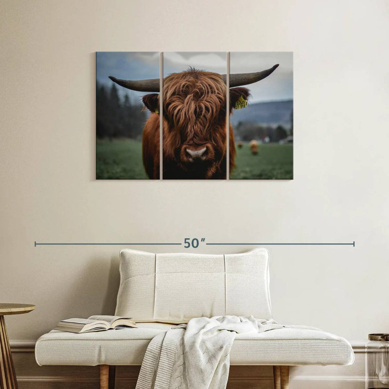 German Highland Cow, 24" H x 38" W
