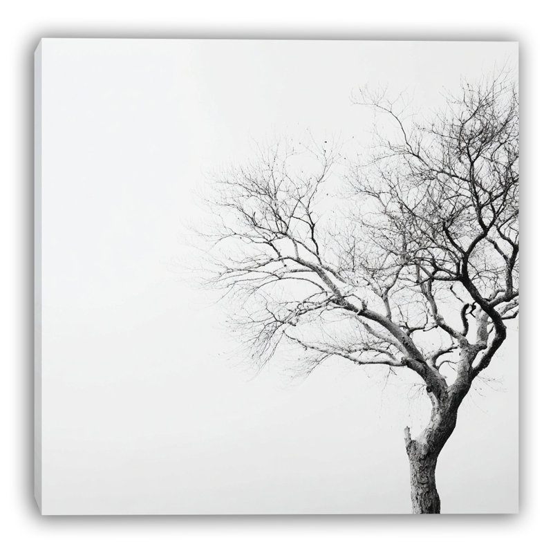 «Minimalist Winter Tree», art mural sur toile tendue en noir et blanc, H 30 po x l 30 po