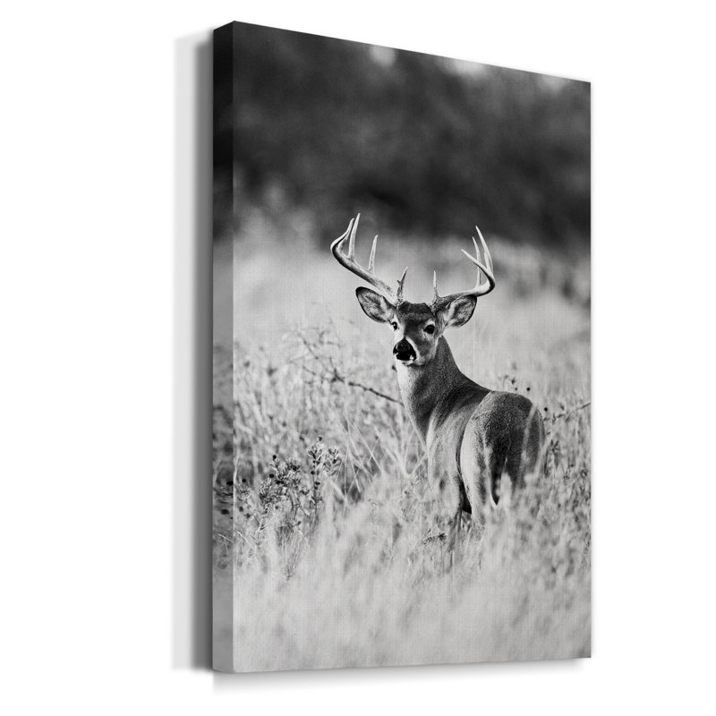 Grasslands - reproduction de photo, H 18 po x l 12 po x P 1 po, Toile tendue, Pas de tapis