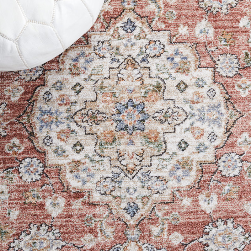 Jacomine 317 Area Rug In Rust / Blue, Square 5'3"