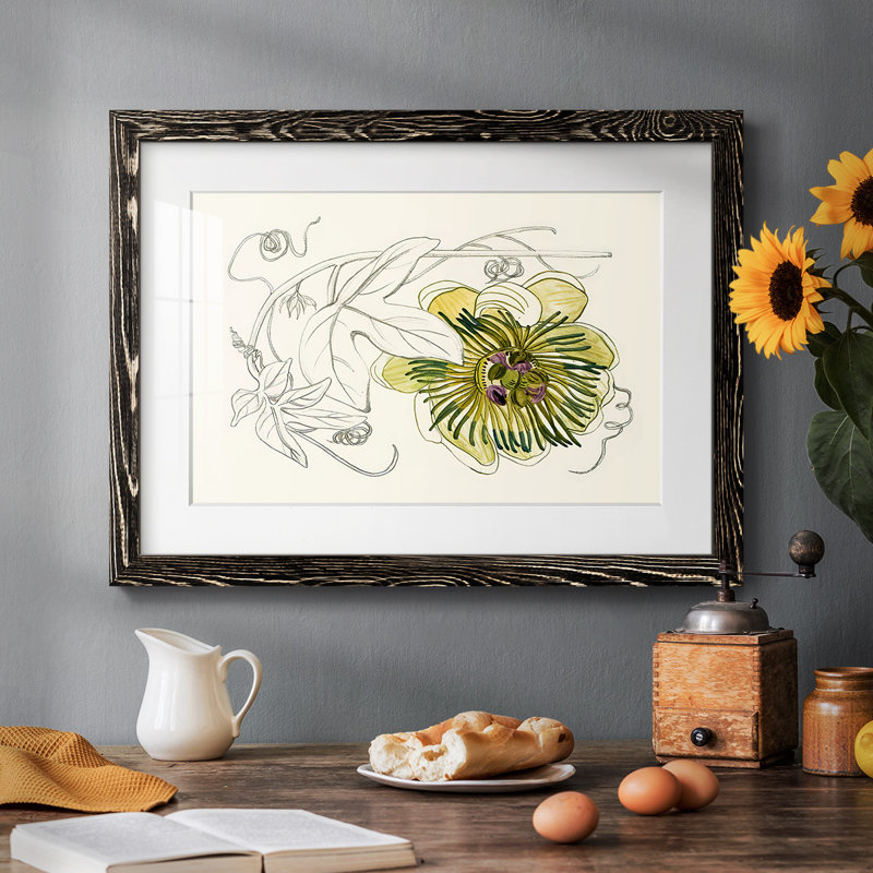 Passionflower II - impression d'un cadre photo, H 18 po x l 26 po, Noir