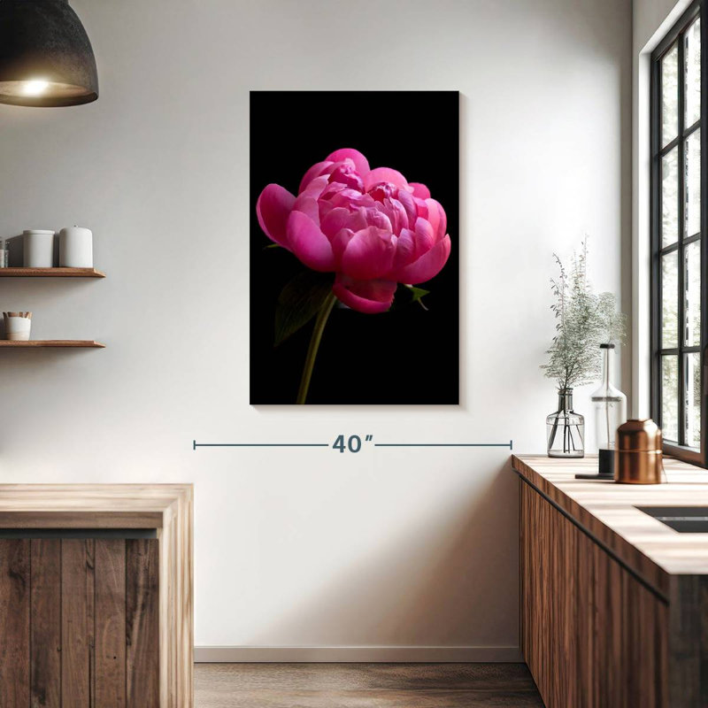 Magenta Peony, 39" H x 26" W