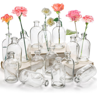 Paquet de 16 vases à bourgeons en verre, petits vases à bourgeons en vrac, vases à fleurs en verre pour centres de table, vases à bouteilles décoratifs rétro pour fleurs, décoration intérieure, réception de mariage, bureau