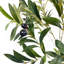Olive artificielle-545847896