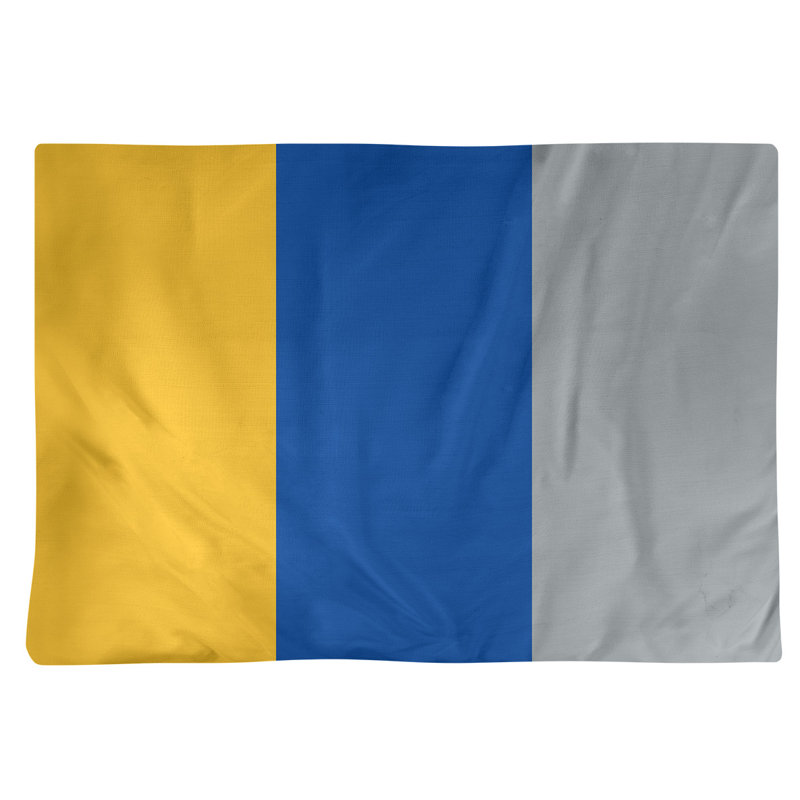 Récapitulatif 14" hockey St. Louis, Doré / bleu royal / gris, Sergé de coton