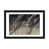 Framed Paper n'est pas disponible
