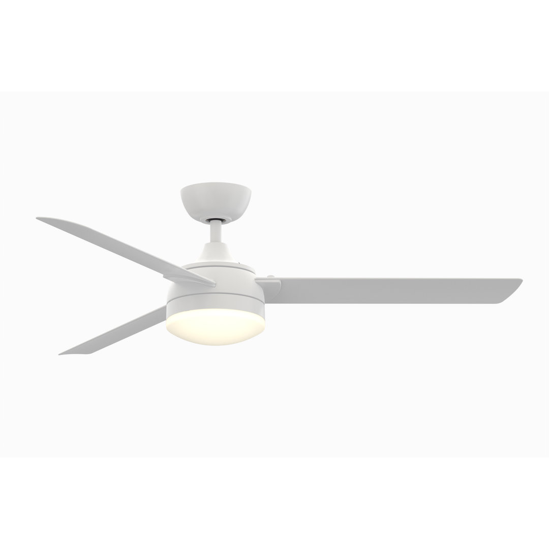 Xeno Wet 56 inch Indoor/Outdoor Ceiling Fan with LED Light Kit and Remote Control Fanimation