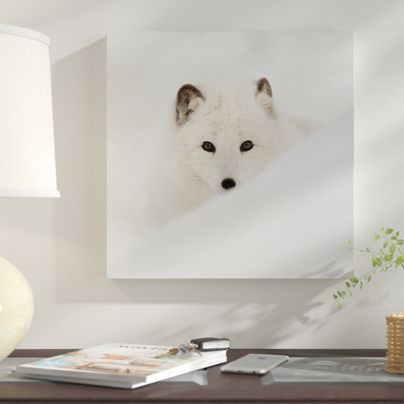 «Arctic Fox», reproduction de photo, Toile tendue, H 16 po x l 16 po x P 1,5 po