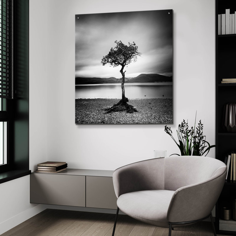 «Millarrochy Tree» par Nina Paponcek, art mural en verre acrylique, H 36 po x l 36 po x P 0,2 po
