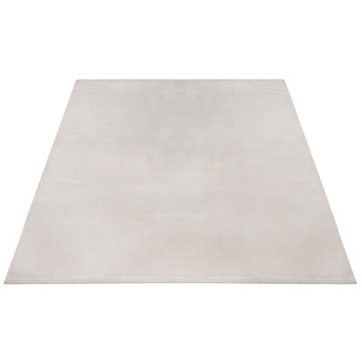 Paresh rug