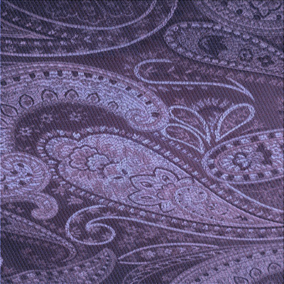 Paisley Indoor Rug