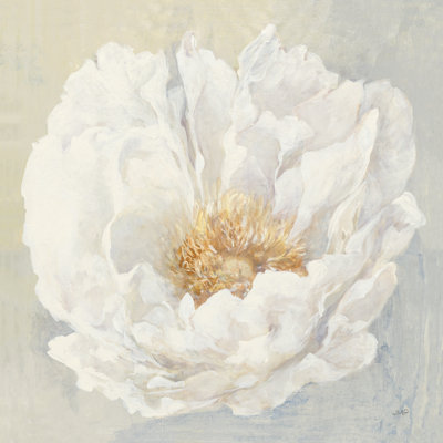 Serene Peony 1 Piece Wrapped Canvas Painting