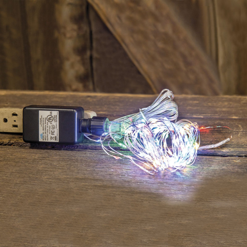 100 - Bulb 54'' Plug-in LED String Light