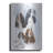 " Springer Spaniel " by Barbara Keith-5243640