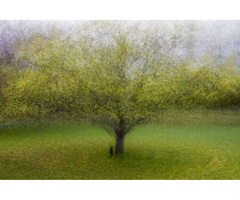 Wrapped Canvas Print, 60.96 cm H x 91.44 cm W