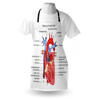 Bib Apron