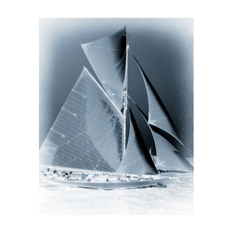 Sea Exploration I Print by Mari Urasawa, Outdoor, 38" H x 30" W x 1.5" D