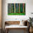 Eucalyptus Rainbow Trees-1609620557-1609620597