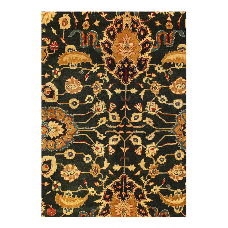Agra Wool Oriental Area Rug in Red/Black