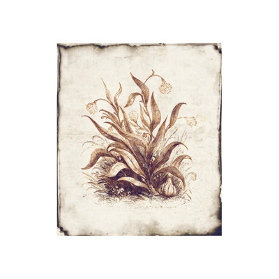 «Botanique IV» par Zoey Riley, impression sur toile