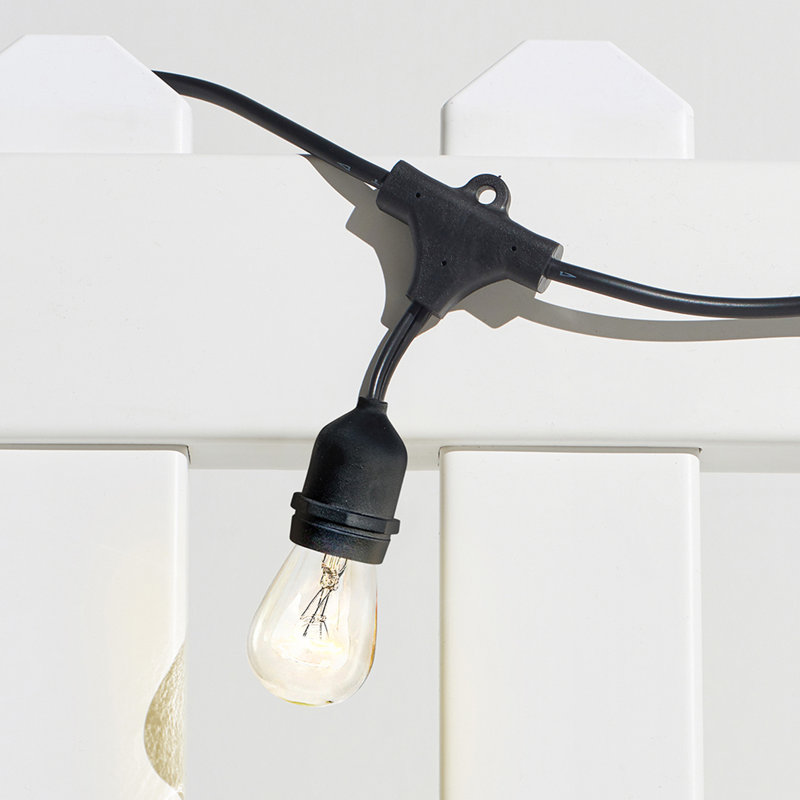 48' Outdoor LED 15 - Bulb Standard String Light, Black