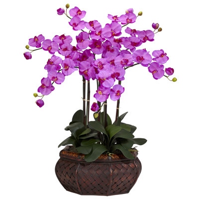 Arrangement floral orchidées dans un pot de fleurs