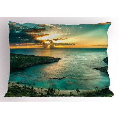 Chiu Rectangular Sleeping Pillow Pillow Cover