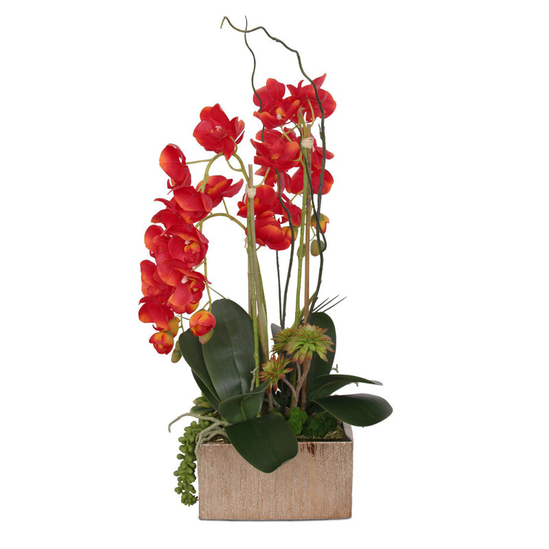 Real Touch Red Phalaenopsis Orchids, Succulents And Curly Willow Flower Arrangement In Square Gold Etched Ceramic Pot