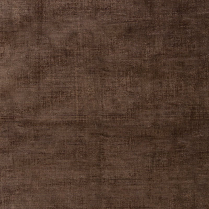 Area Rug in Brown