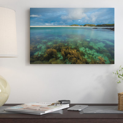 " Underwater Garden I, Dog's Bay, Connemara, County Galway, Connacht Province, Republic Of Ireland " by Gareth McCormack