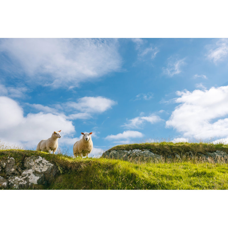 Two Sheep In Rocky Cliff Against Sky by Bumbumbo - Wrapped Canvas Print, 51cm H x 76cm W