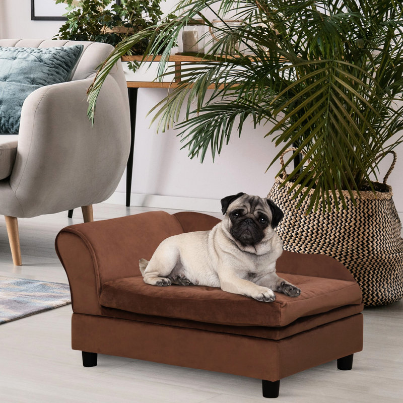 Petit chien avec espace de rangement caché, coussin en mousse épaisse de 3 po, lit pour animal de compagnie moderne, lit brun, mousse, mobilier,