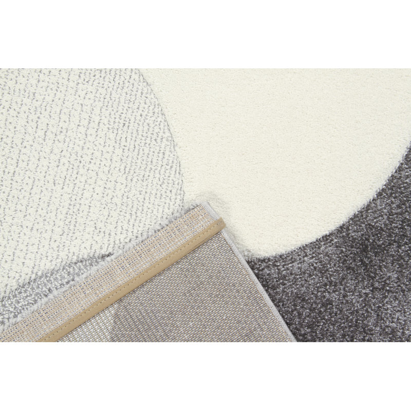 Decoste Geometric Area Rug, Rectangle 160 x 230cm
