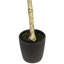Arbre à fleurs vert olive Vickerman-73286562