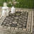 Rhoswen Performance Oriental Rug-1950169919