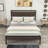 Bloomington Metal Platform Bed with Headboard-1001268064-1001268078