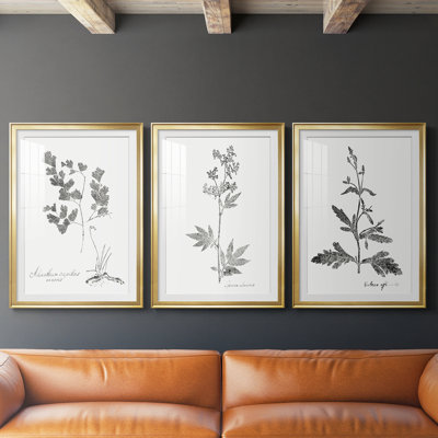 Botanical Imprint I - Impression personnalisée de qualité supérieure avec cadre mat - 3 pièces