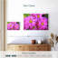 Jardin de fleurs roses Harnek-108697652