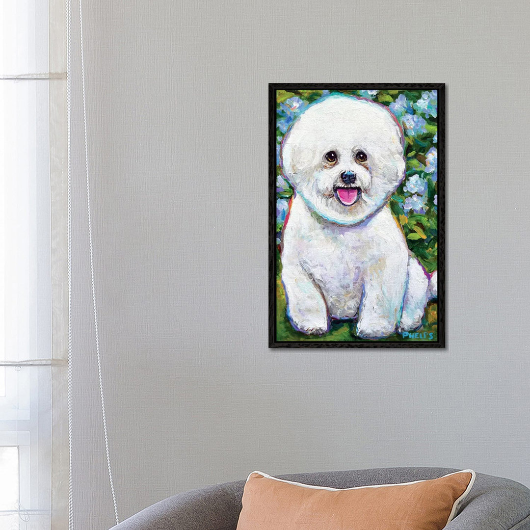 Bichon Frise And Blossoms von Robert Phelps - Galerie-verpackte Leinwand Giclée auf Leinwand