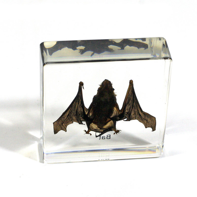 Presse-papiers chauve-souris Rakowski