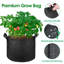 Tonecia Nursery Pot-955849022