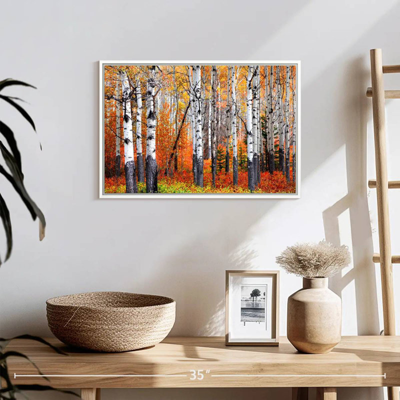 Forêt de trembles de Banff, Cadre flottant blanc, 19 po x 13 po