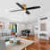 Bonnitta 52'' Ceiling Fan with LED Lights