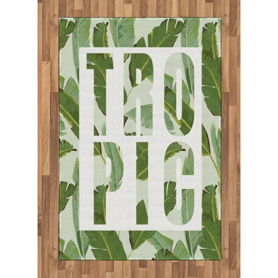 Gosford Hand Woven Area Rug